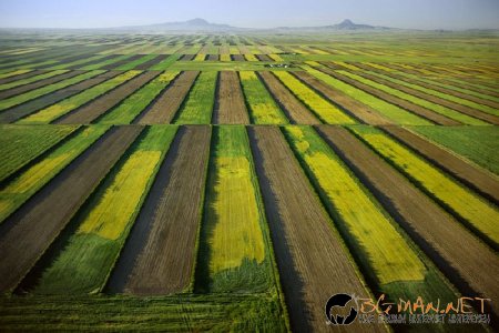 Светът отгоре