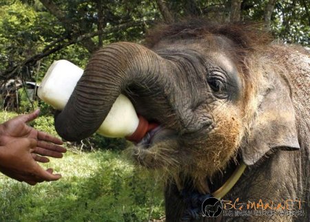 Интересни снимки от Индонезия