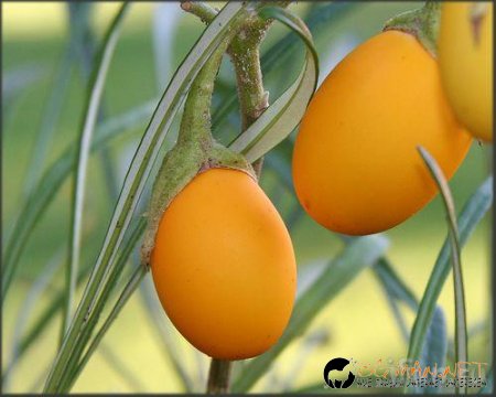 Яйчен креатив