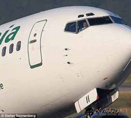 Птици срещу самолет