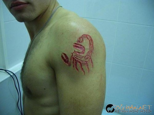 Интересните и яки снимки днес