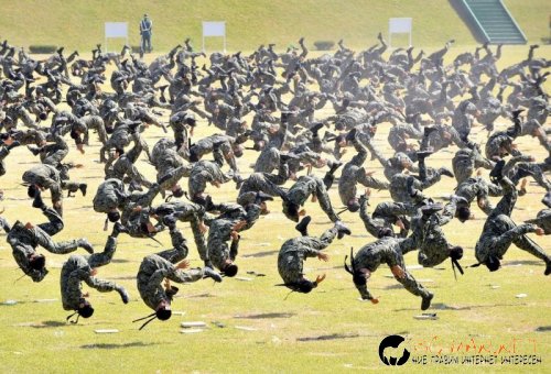 Интересните и яки снимки днес