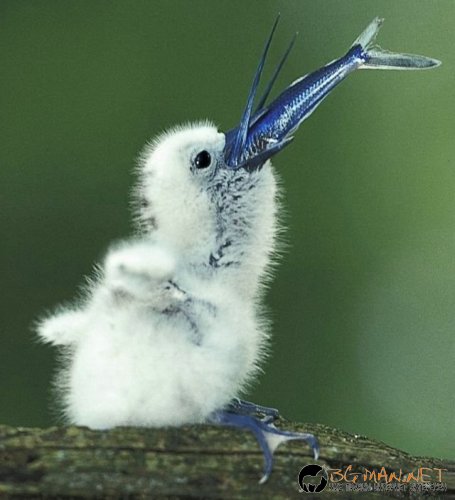 Интересните и яки снимки днес