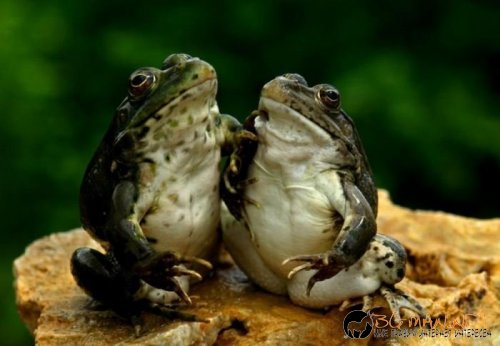 Интересните и яки снимки днес