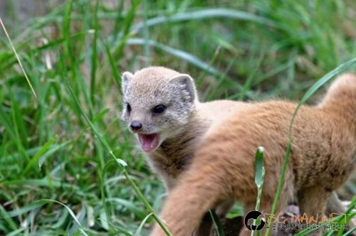 Интересните и яки снимки днес