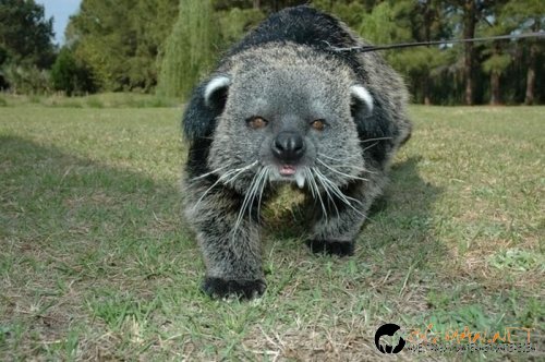 Интересните и яки снимки днес