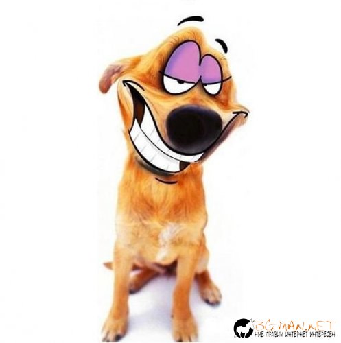 Интересните и яки снимки днес