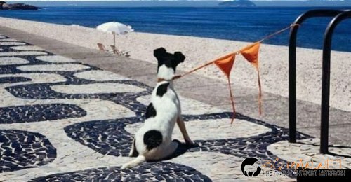 Интересните и яки снимки днес