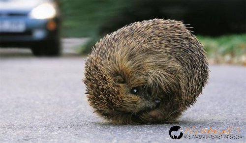 Интересните и яки снимки днес