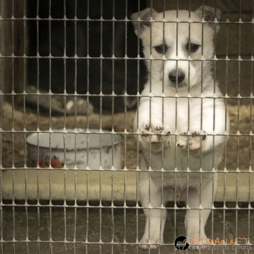 Интересните и яки снимки днес