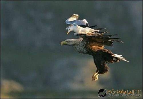 Интересните и яки снимки днес