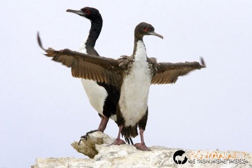 Интересните и яки снимки днес