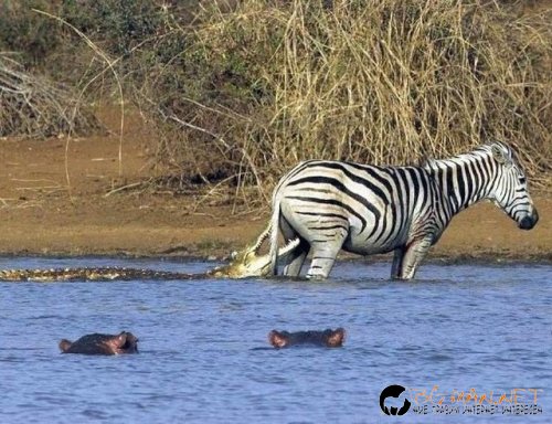 Интересните и яки снимки днес