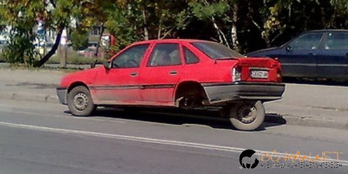 Интересните и яки снимки днес