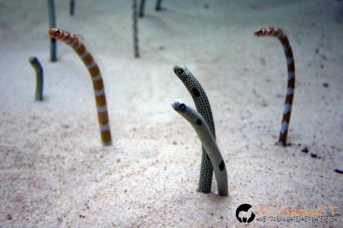 Интересните и яки снимки днес