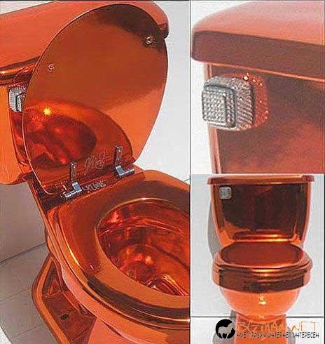 Най-необичйните...тоалетни