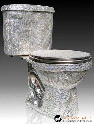 Най-необичйните...тоалетни