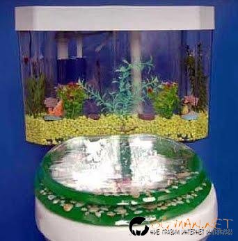 Най-необичйните...тоалетни