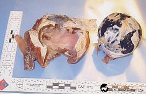 Нарко-контрабандисти