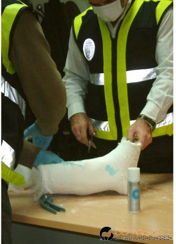 Нарко-контрабандисти