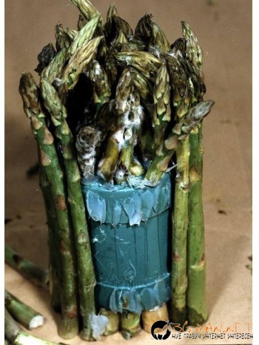 Нарко-контрабандисти