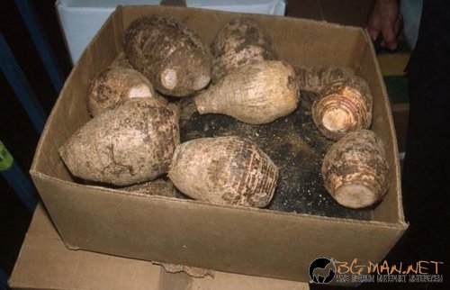 Нарко-контрабандисти