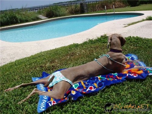 Странна "девойка"