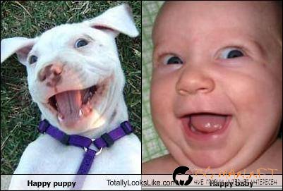 Като две капки вода