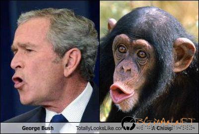 Като две капки вода