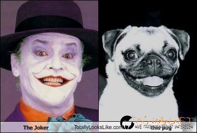 Като две капки вода