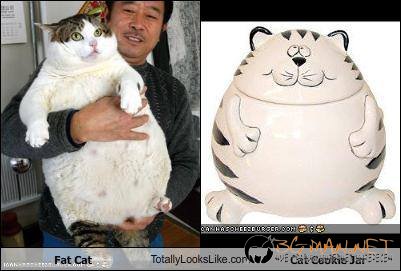 Като две капки вода