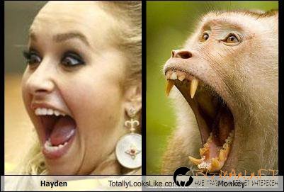 Като две капки вода