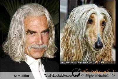 Като две капки вода