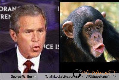 Като две капки вода