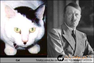 Като две капки вода