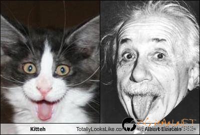 Като две капки вода