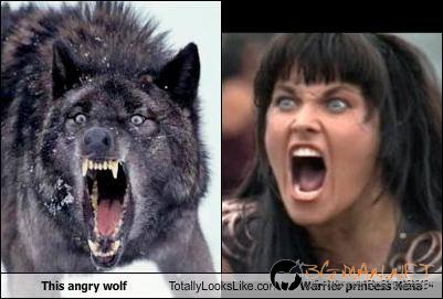 Като две капки вода