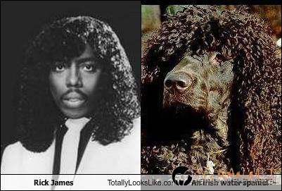 Като две капки вода