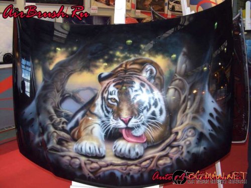 Возила с аерография