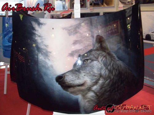 Возила с аерография