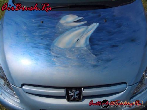 Возила с аерография