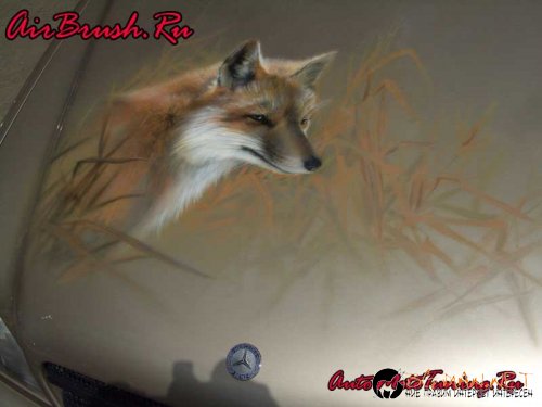 Возила с аерография