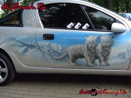 Возила с аерография