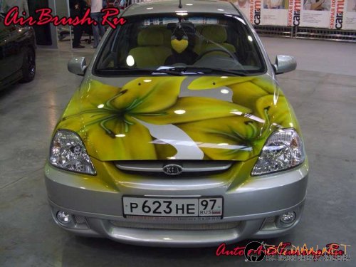 Возила с аерография