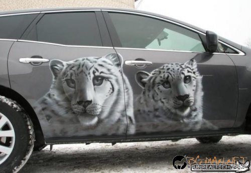 Возила с аерография