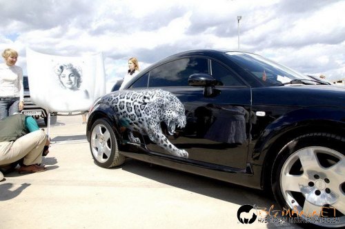 Возила с аерография