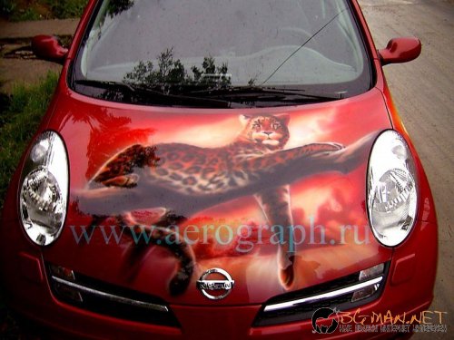 Возила с аерография