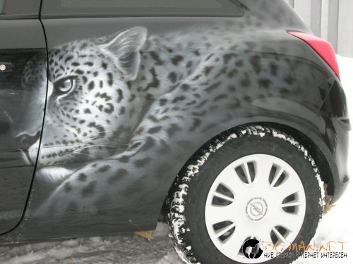 Возила с аерография