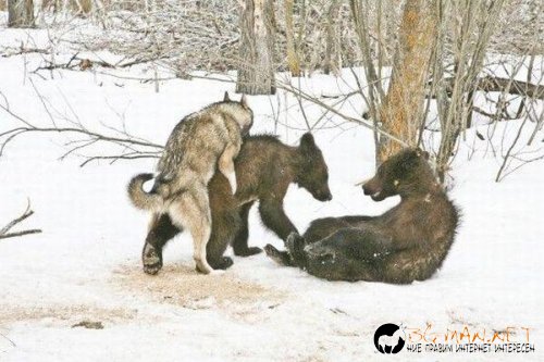 Топ фотосите за днес