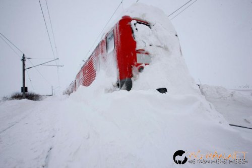 Топ фотосите за днес